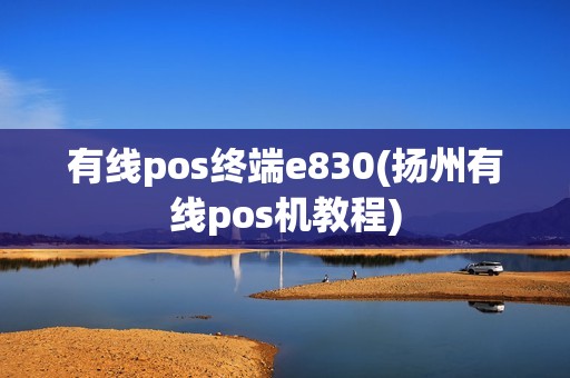 有线pos终端e830(扬州有线pos机教程)