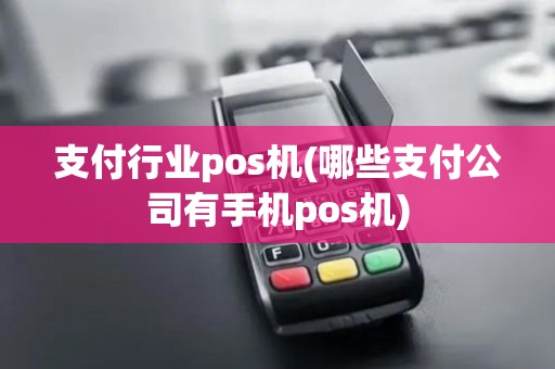 支付行业pos机(哪些支付公司有手机pos机)