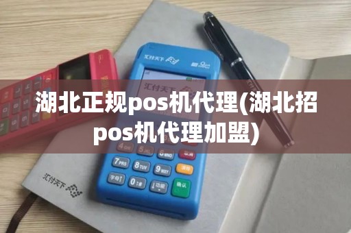 湖北正规pos机代理(湖北招pos机代理加盟)