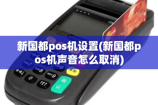 新国都pos机设置(新国都pos机声音怎么取消)