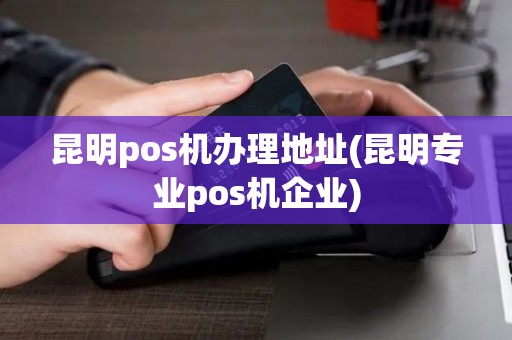 昆明pos机办理地址(昆明专业pos机企业)