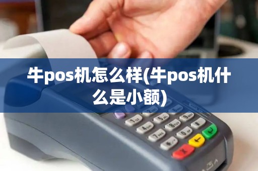 牛pos机怎么样(牛pos机什么是小额)