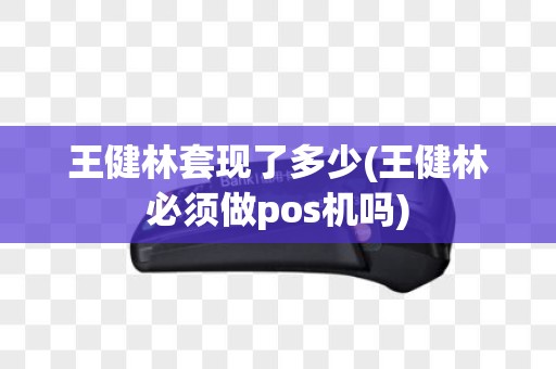 王健林套现了多少(王健林必须做pos机吗)