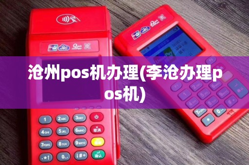 沧州pos机办理(李沧办理pos机)
