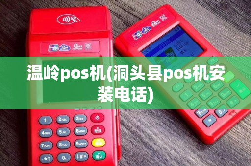 温岭pos机(洞头县pos机安装电话)