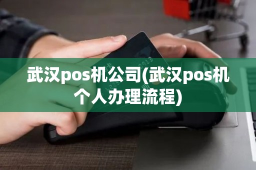 武汉pos机公司(武汉pos机个人办理流程)