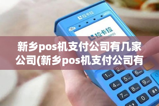 新乡pos机支付公司有几家公司(新乡pos机支付公司有几家)