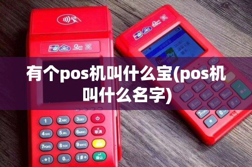 有个pos机叫什么宝(pos机叫什么名字)