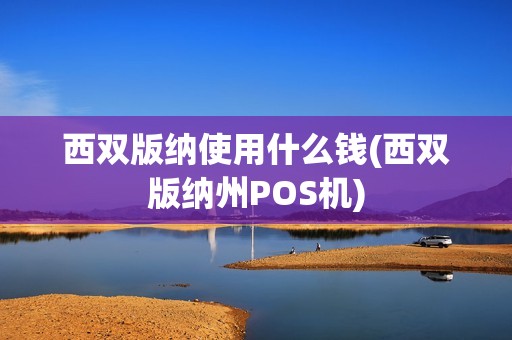 西双版纳使用什么钱(西双版纳州POS机)
