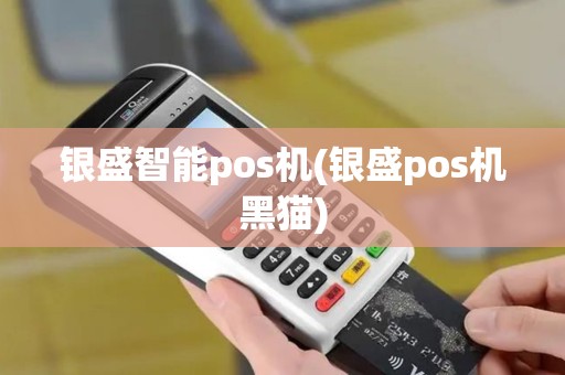 银盛智能pos机(银盛pos机黑猫)