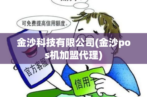 金沙科技有限公司(金沙pos机加盟代理)