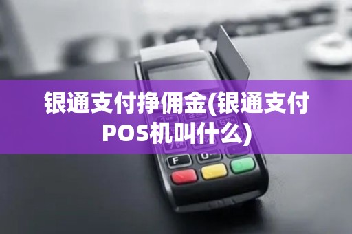 银通支付挣佣金(银通支付POS机叫什么)