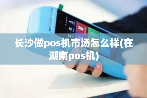 长沙做pos机市场怎么样(在湖南pos机)