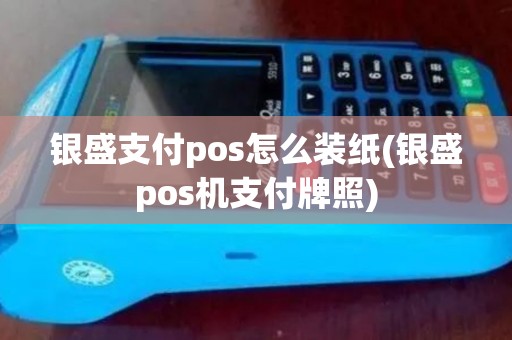 银盛支付pos怎么装纸(银盛pos机支付牌照)