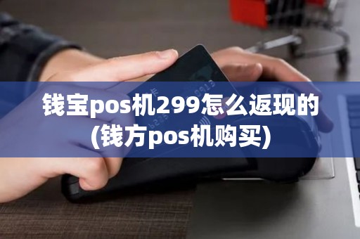 钱宝pos机299怎么返现的(钱方pos机购买)