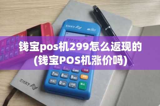 钱宝pos机299怎么返现的(钱宝POS机涨价吗)