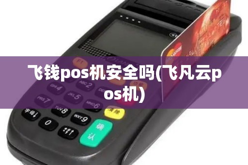 飞钱pos机安全吗(飞凡云pos机)