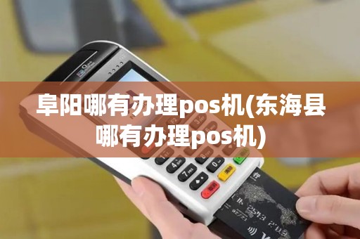 阜阳哪有办理pos机(东海县哪有办理pos机)