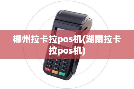 郴州拉卡拉pos机(湖南拉卡拉pos机)