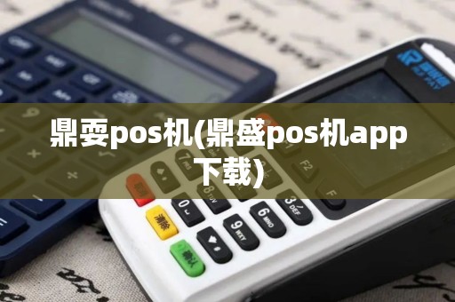 鼎耍pos机(鼎盛pos机app下载)