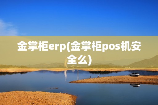 金掌柜erp(金掌柜pos机安全么)