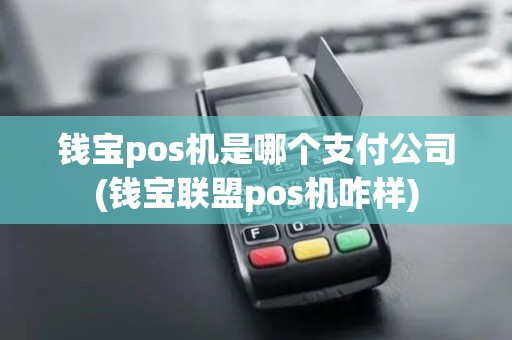 钱宝pos机是哪个支付公司(钱宝联盟pos机咋样)