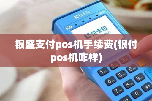 银盛支付pos机手续费(银付pos机咋样)