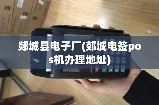 郯城县电子厂(郯城电签pos机办理地址)