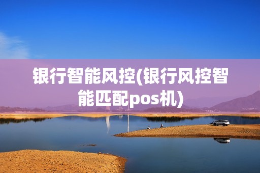 银行智能风控(银行风控智能匹配pos机)