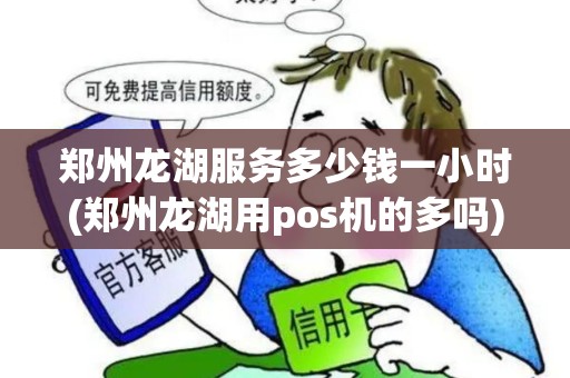 郑州龙湖服务多少钱一小时(郑州龙湖用pos机的多吗)