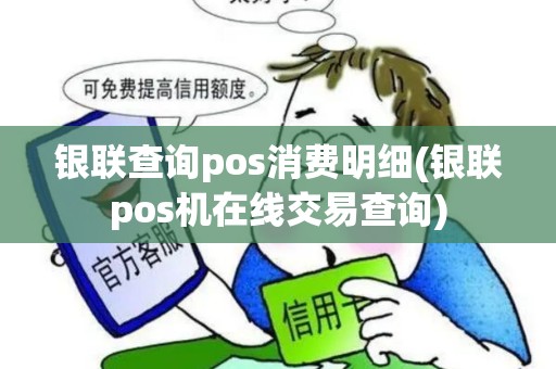 银联查询pos消费明细(银联pos机在线交易查询)