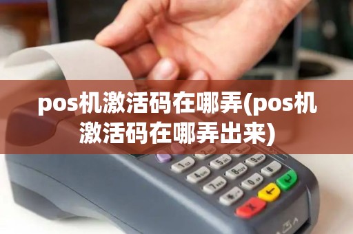 pos机激活码在哪弄(pos机激活码在哪弄出来)