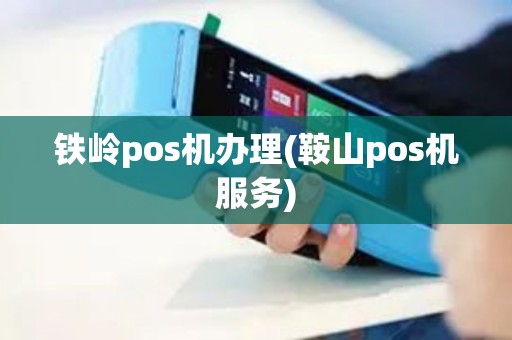铁岭pos机办理(鞍山pos机服务)