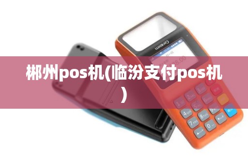 郴州pos机(临汾支付pos机)