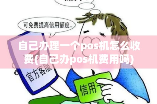 自己办理一个pos机怎么收费(自己办pos机费用吗)
