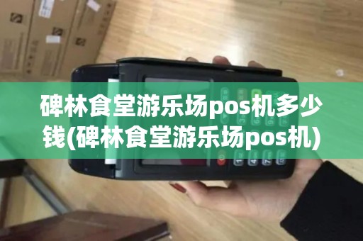 碑林食堂游乐场pos机多少钱(碑林食堂游乐场pos机)