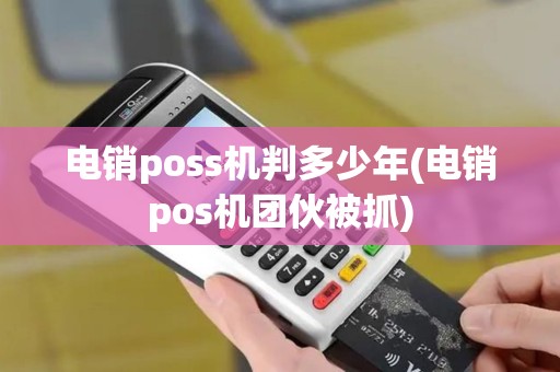 电销poss机判多少年(电销pos机团伙被抓)
