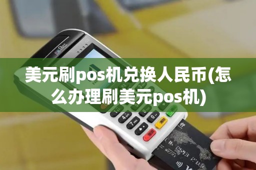美元刷pos机兑换人民币(怎么办理刷美元pos机)