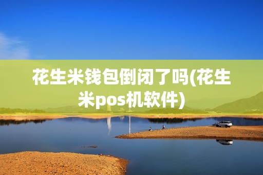 花生米钱包倒闭了吗(花生米pos机软件)