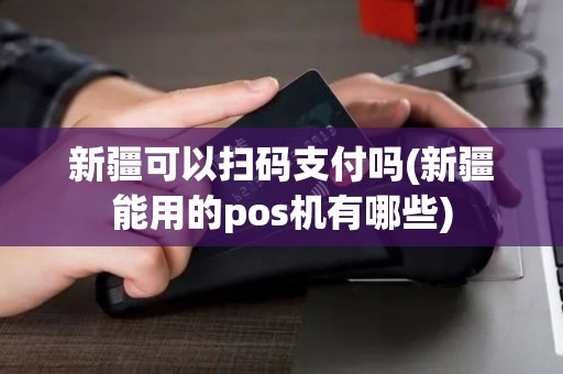 新疆可以扫码支付吗(新疆能用的pos机有哪些)
