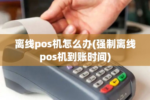 离线pos机怎么办(强制离线pos机到账时间)