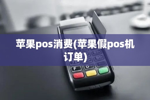苹果pos消费(苹果假pos机订单)