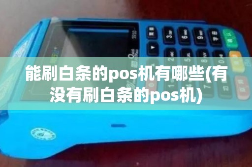 能刷白条的pos机有哪些(有没有刷白条的pos机)