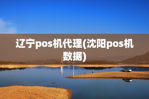 辽宁pos机代理(沈阳pos机数据)
