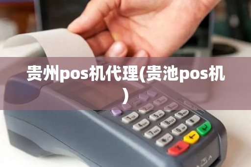 贵州pos机代理(贵池pos机)