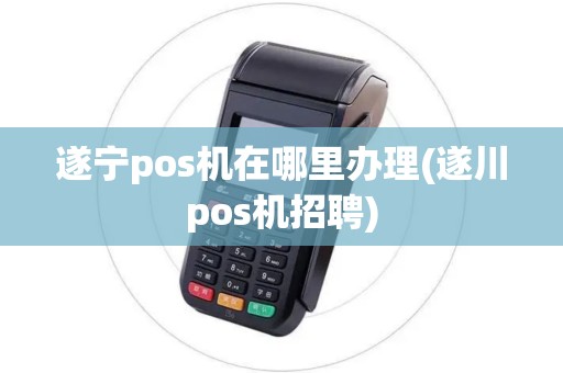 遂宁pos机在哪里办理(遂川pos机招聘)