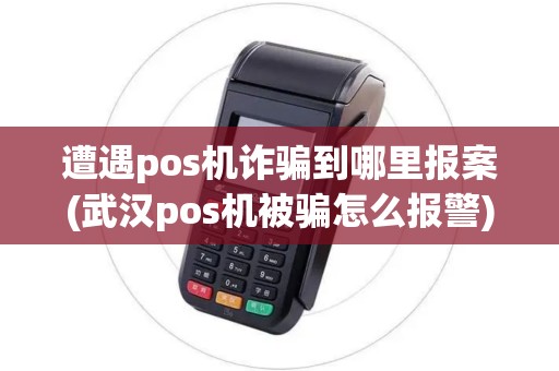 遭遇pos机诈骗到哪里报案(武汉pos机被骗怎么报警)