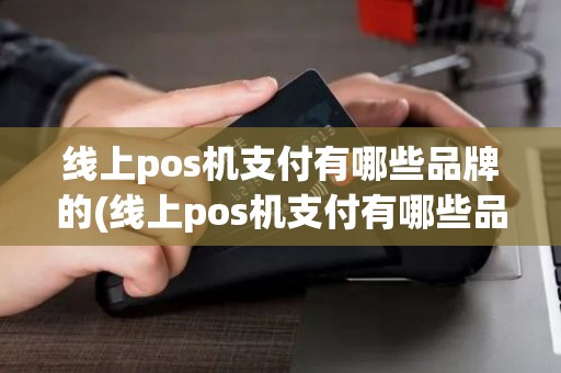 线上pos机支付有哪些品牌的(线上pos机支付有哪些品牌)