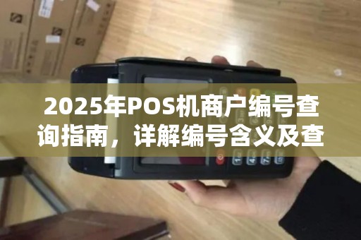 2025年POS机商户编号查询指南，详解编号含义及查询方法