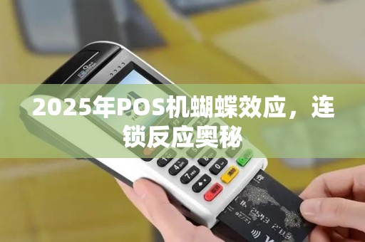 2025年POS机蝴蝶效应，连锁反应奥秘